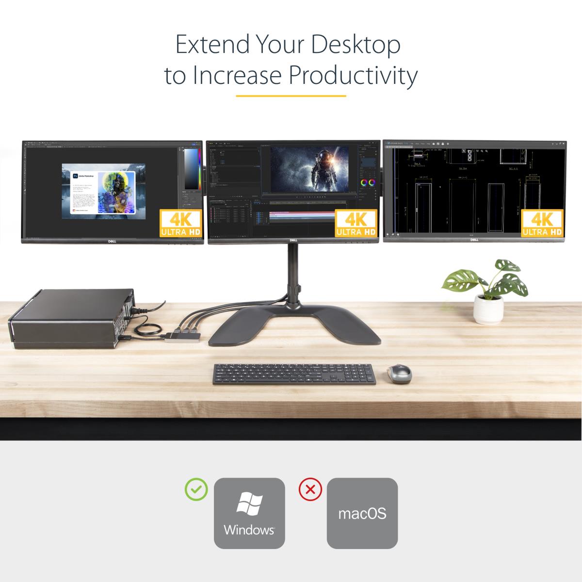 DisplayPort Mst Hub - 3-port Dp 1.4