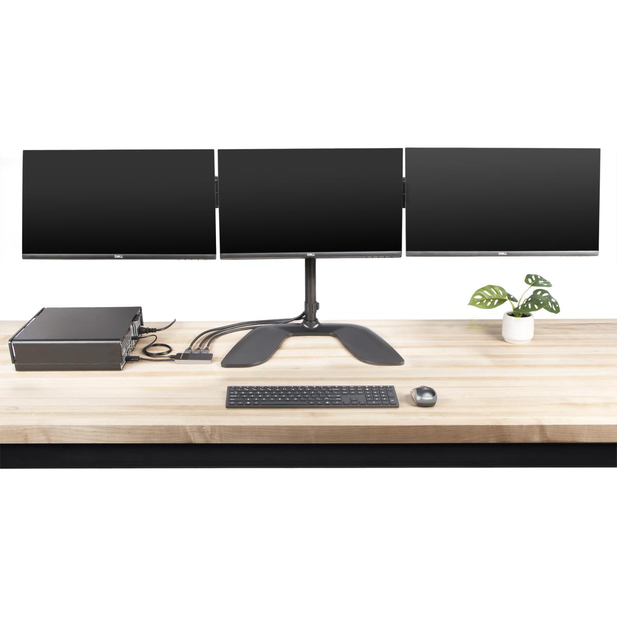 DisplayPort Mst Hub - 3-port Dp 1.4