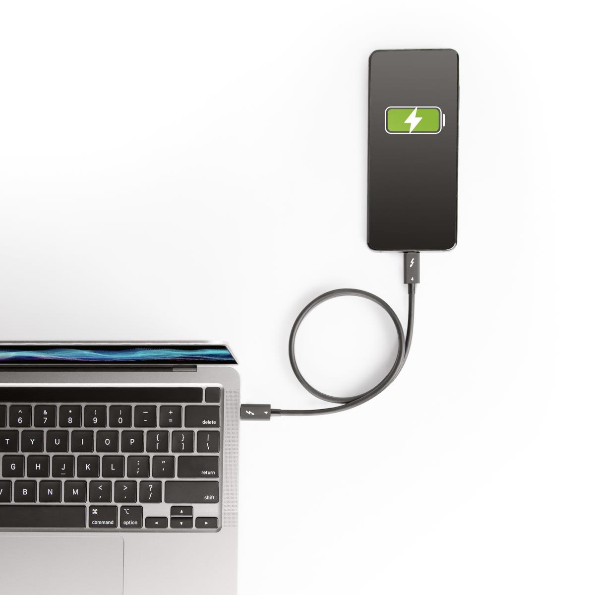 Thunderbolt 4 Cable Intel-certified 40gbps 100w Pd 1.6ft