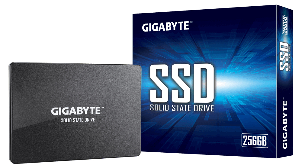 SSD - 256GB - SATA 6.0gb/s - Gp-gstfs31256gtnd