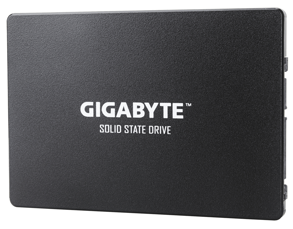 SSD - 256GB - SATA 6.0gb/s - Gp-gstfs31256gtnd