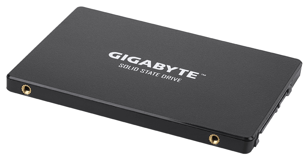 SSD - 256GB - SATA 6.0gb/s - Gp-gstfs31256gtnd
