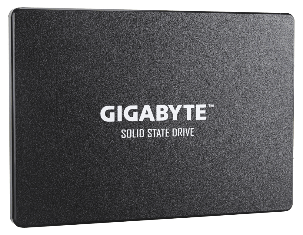SSD - 256GB - SATA 6.0gb/s - Gp-gstfs31256gtnd
