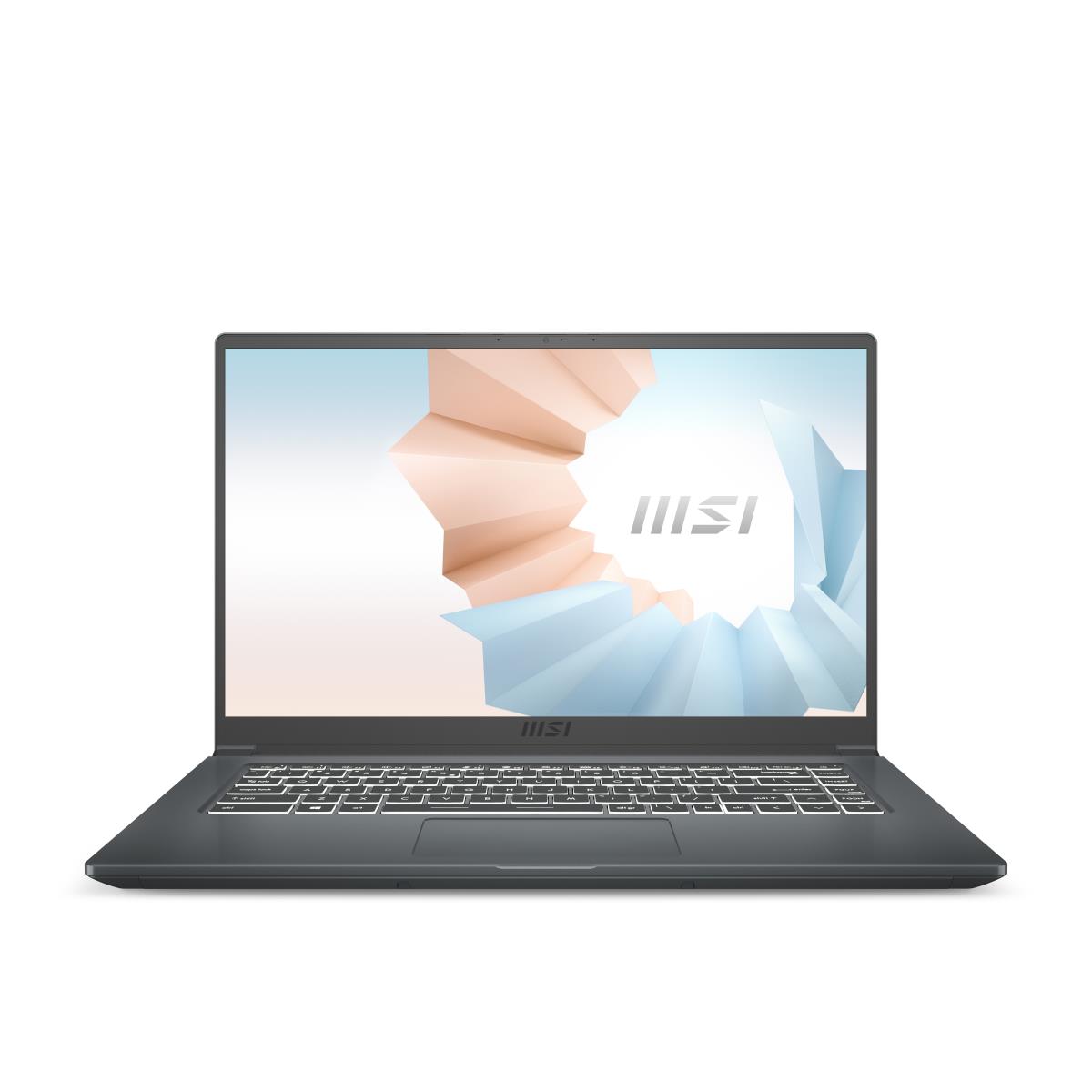 Modern 15 A5m 206be Grey - 15.6in - Ryzen 5 5500u - 8GB Ram - 256GB SSD - Amd Radeon - Win11 Home - Azerty Belgian