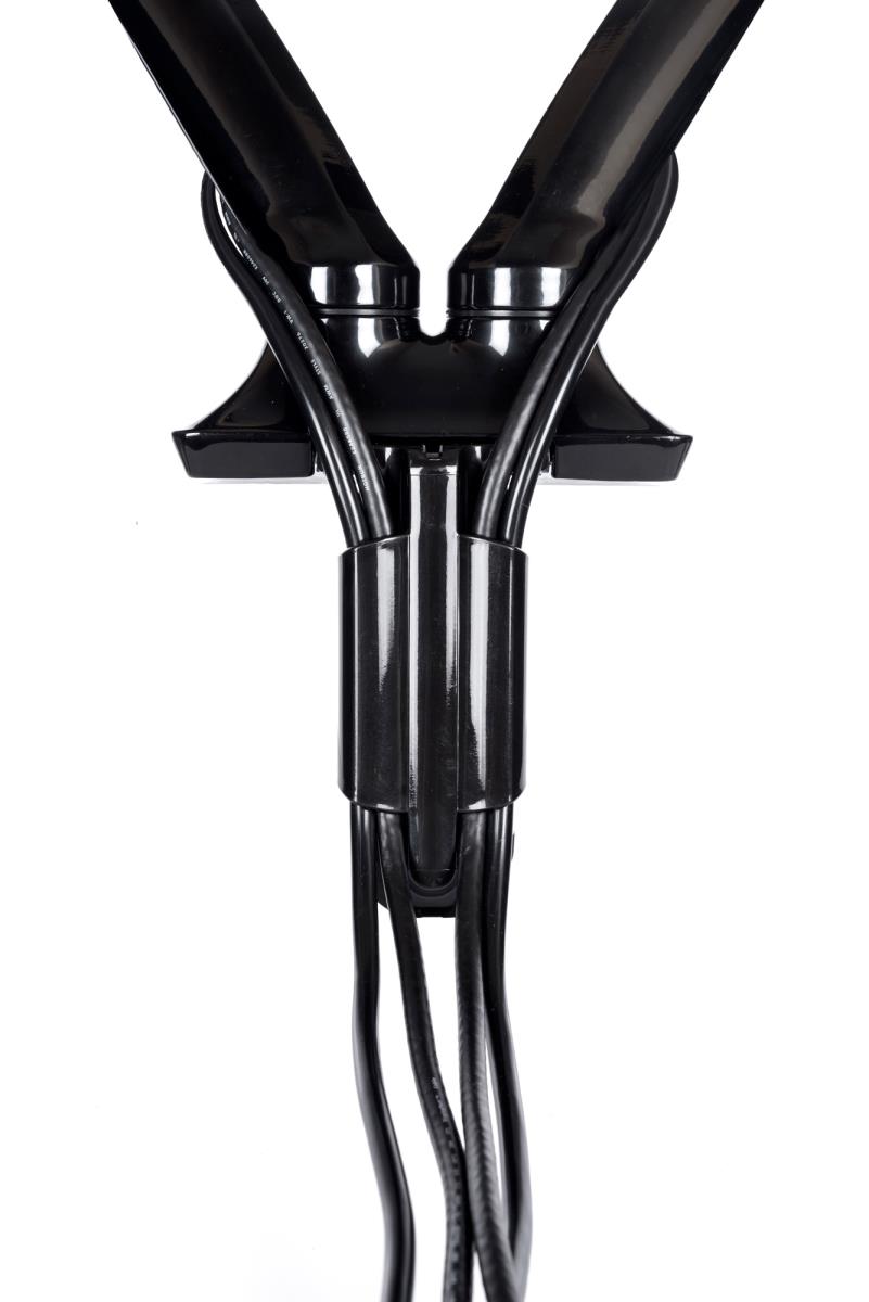 Dual Gas Spring Desk Mounting Arm DS3002C-B1/ Black