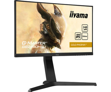 Desktop Monitor - G-MASTER GB2590HSU-B1 - 25in - 1920x1080 (FHD) - Black