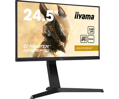 Desktop Monitor - G-MASTER GB2590HSU-B1 - 25in - 1920x1080 (FHD) - Black