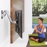 Interactive Arm Hd (polished Aluminum)