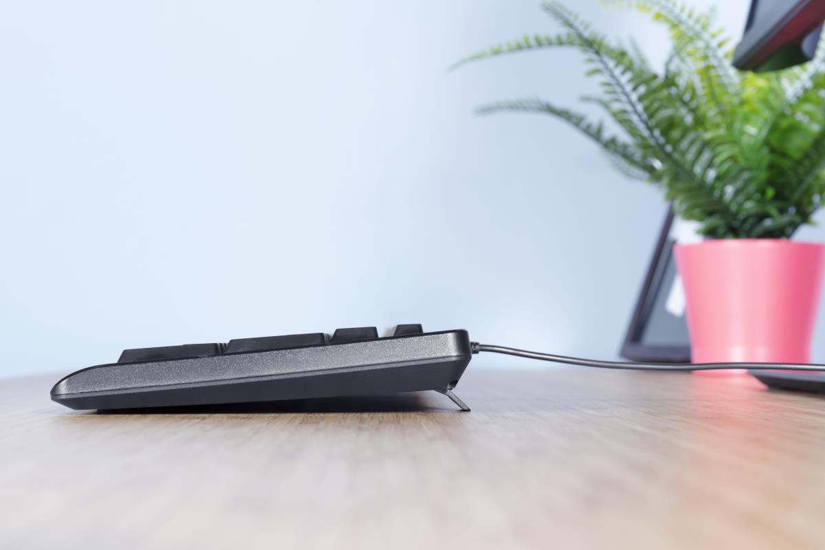 Keyboard Primo - USB - Black - Azerty Belgian And Mouse Set With Warranty 5 Years