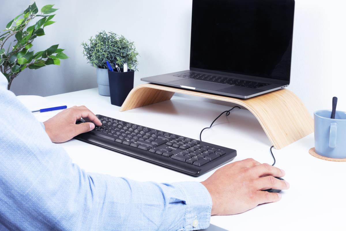 Keyboard Primo - USB - Black - Azerty Belgian With Warranty 5 Yeas