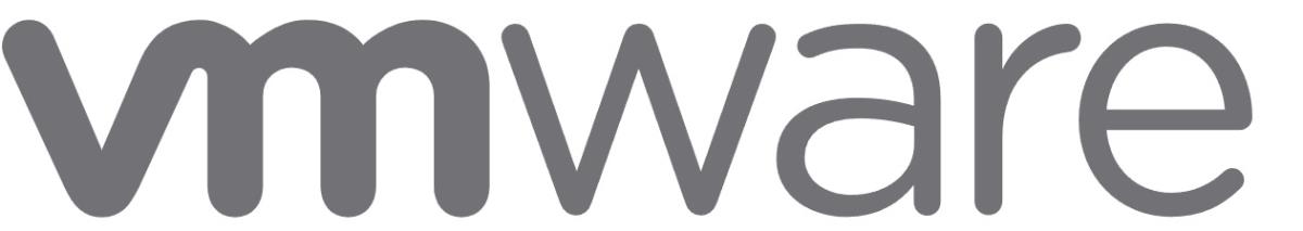 Vmware Vsphere Standard 8 - 1 Year
