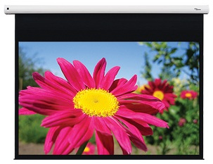 Projector Screen Electric DE-1095EGA 95in 16:10, 1.0 Glass-fibre Matte White