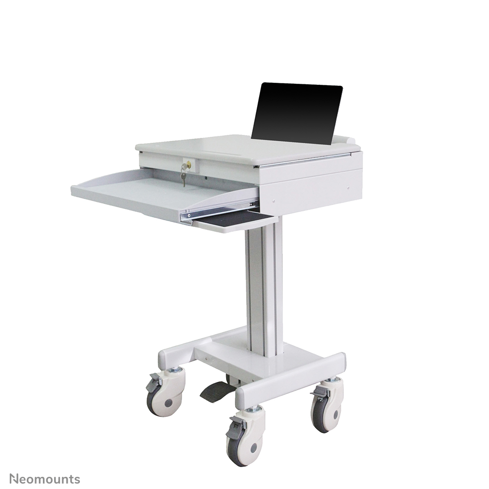 Mobile Laptop Cart 10-22in (med-m100)