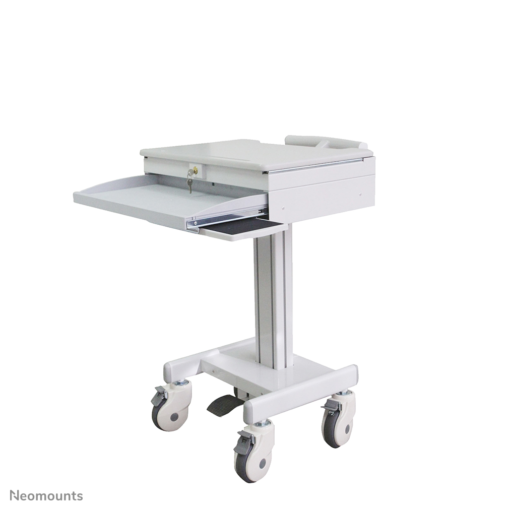 Mobile Laptop Cart 10-22in (med-m100)