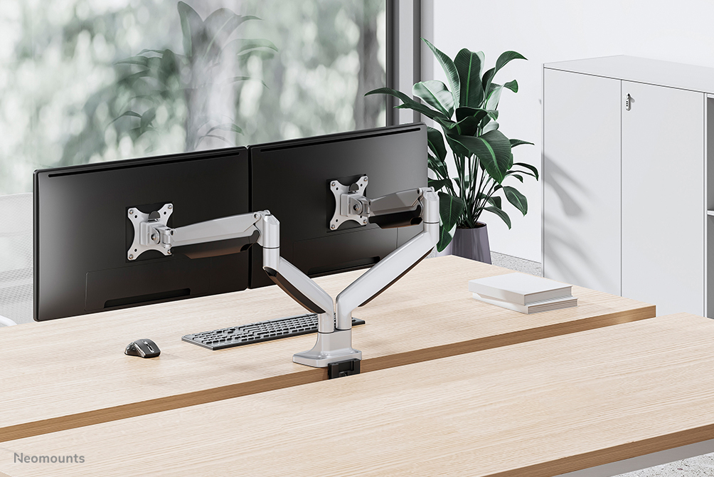 Monitor Mount - Desk - 1 Monitor - 10 To 30in - Silver