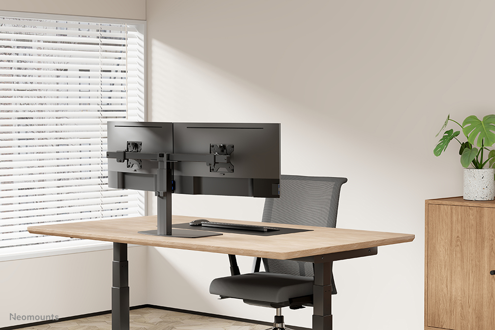 Newstar Flat Screen Desk Mount Stand 10-27in