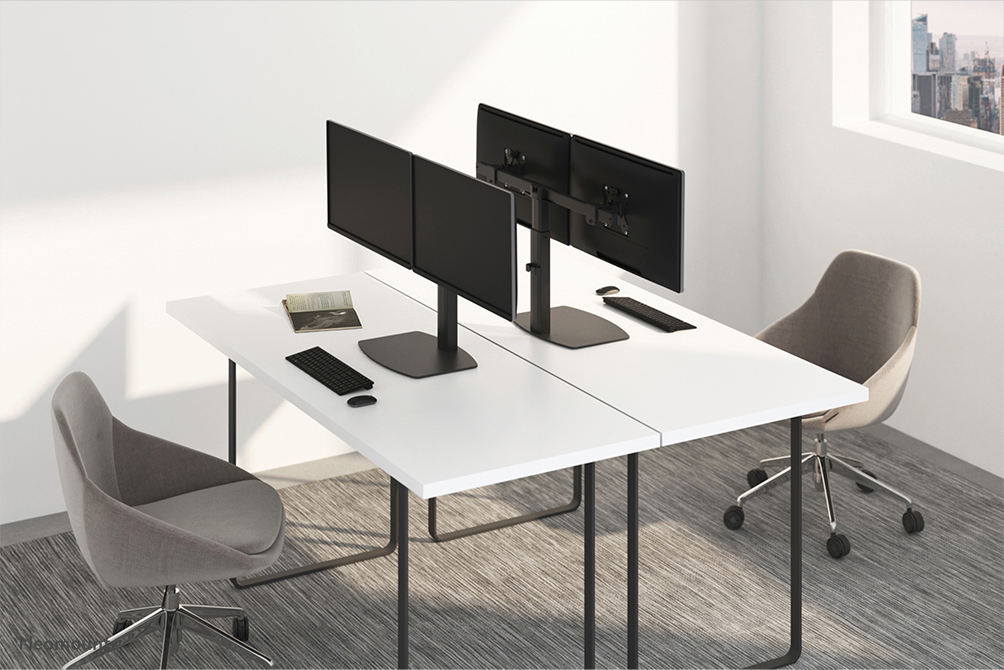 Newstar Flat Screen Desk Mount Stand 10-27in