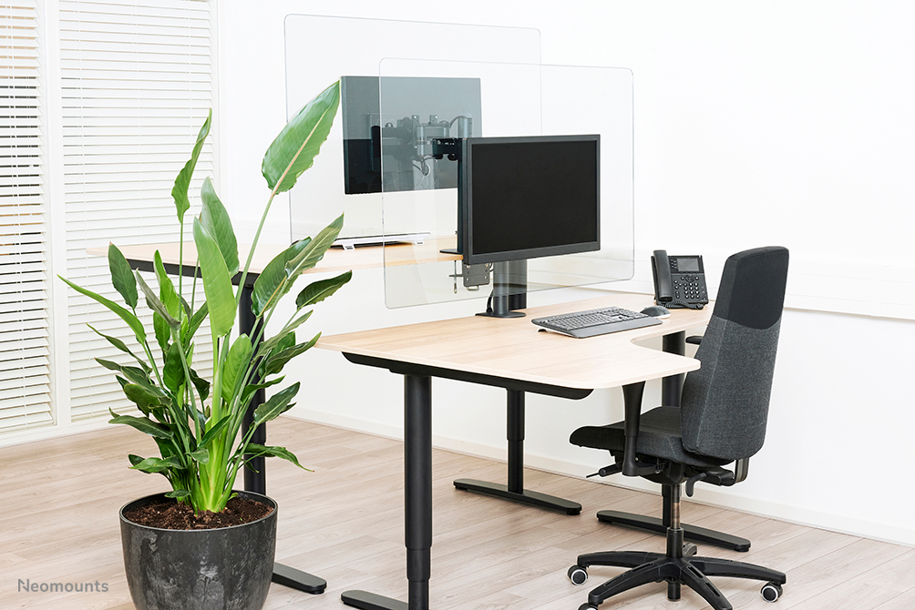 Transparent Screen For 1 Flat Screen