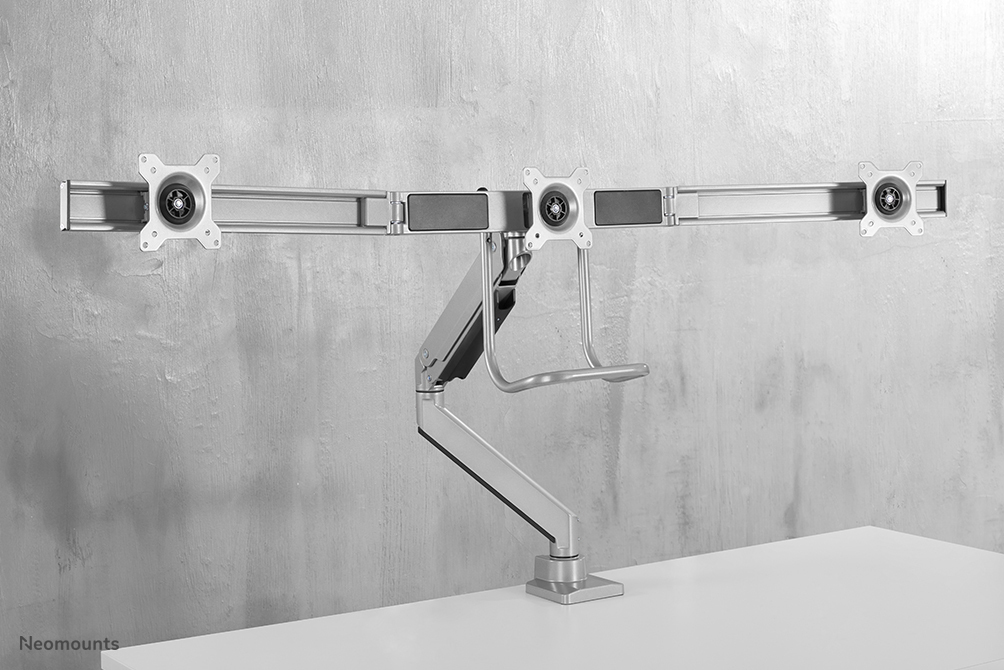Flat Screen Desk Mount 17-24in Silver