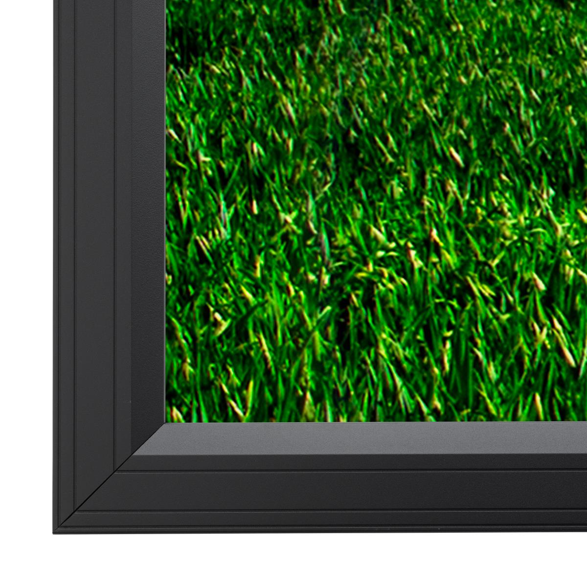 Projectionscreen Homescreen 155x256 Cm.matwhite P 16:9