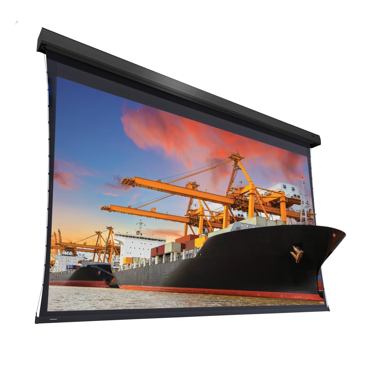 Projecta Extensa 369x590 Dual Vision