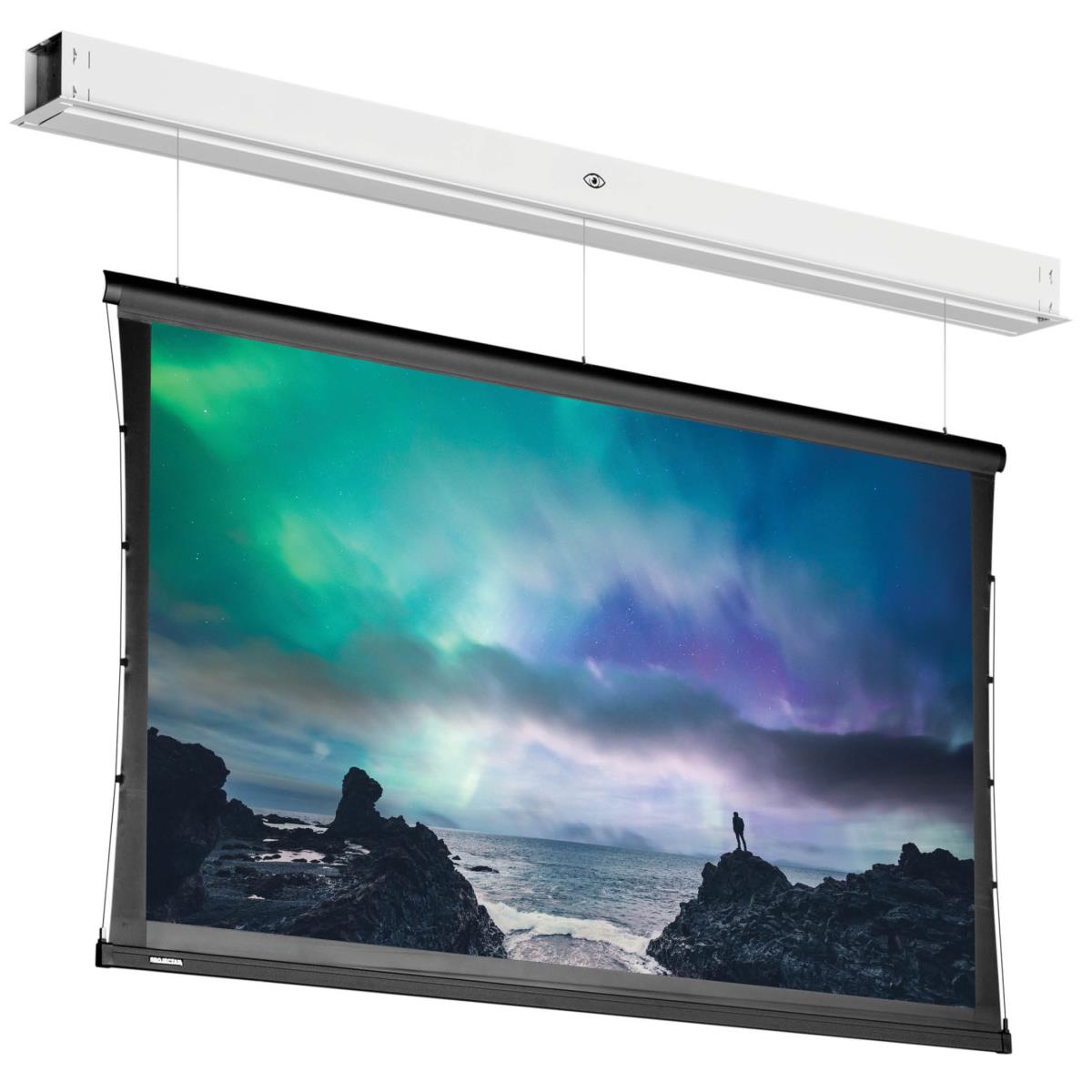 Projecta Tensioned Descenderpro Sightline 174x310 Hd Progressive 0.6