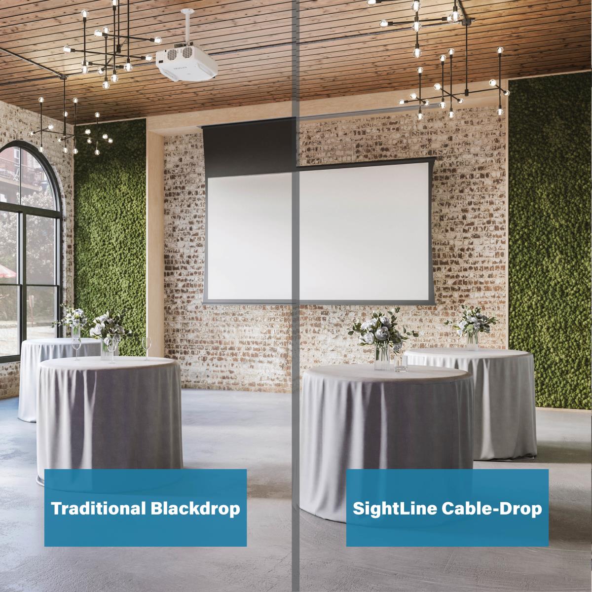 Projecta Tensioned Descenderpro Ws 131x2