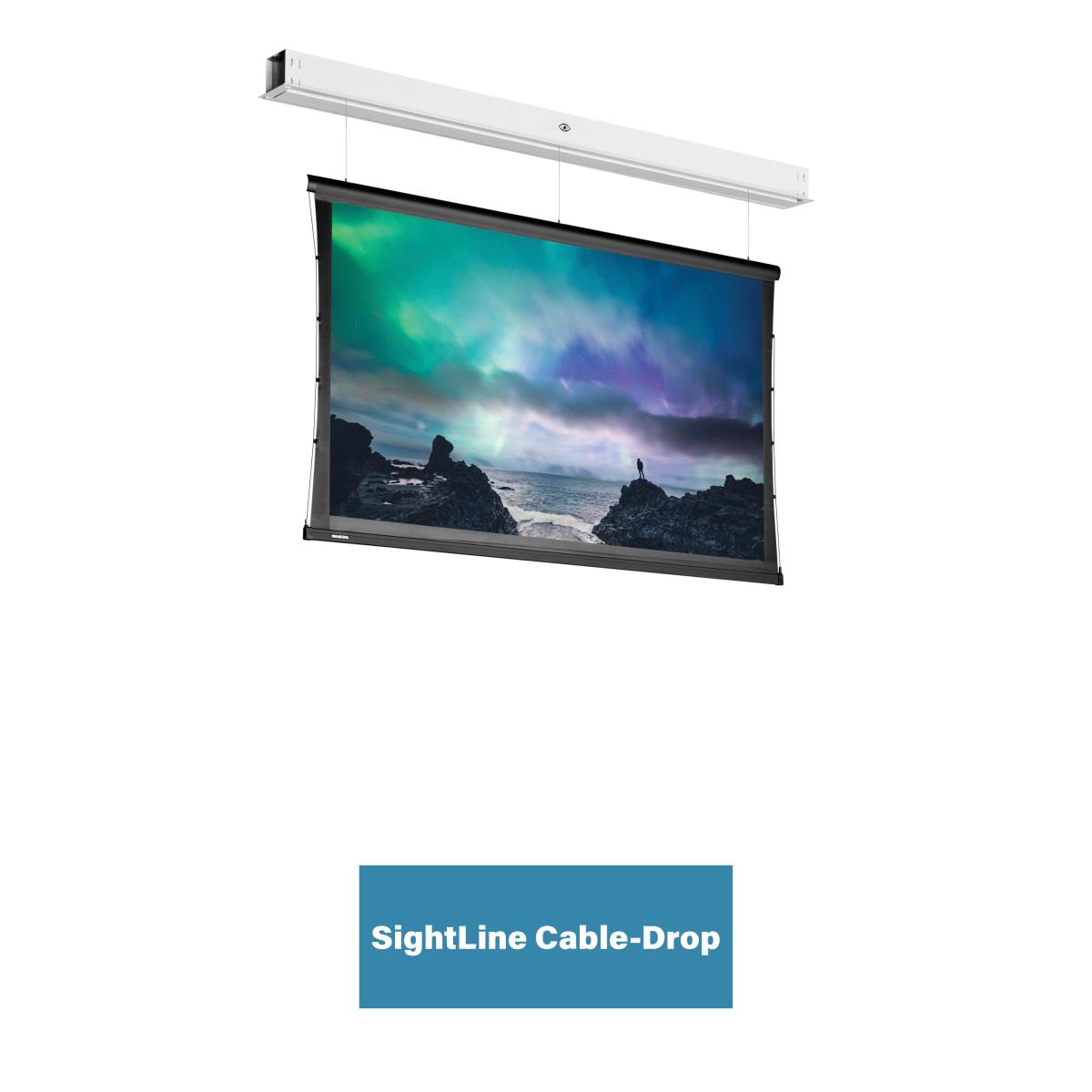Projecta Tensioned Descenderpro Ws 131x2