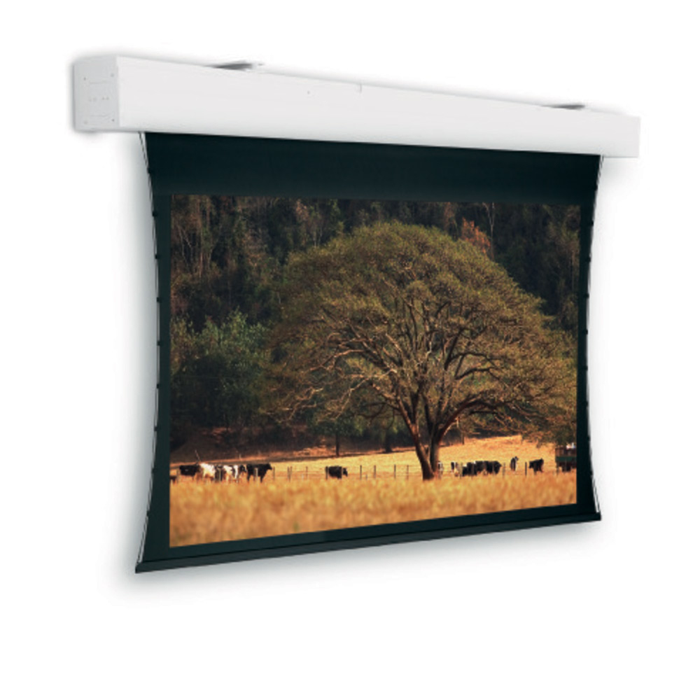 Projecta Tensioned Elpro Large Electrol (10103837)