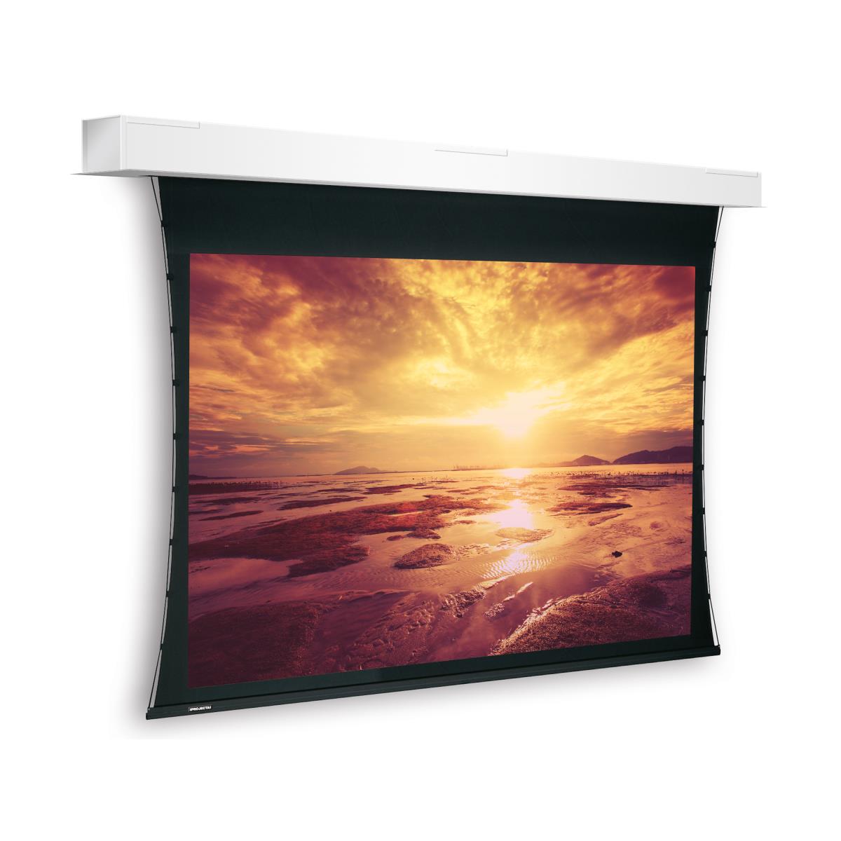 Projecta Tensioned Descender Large Elect (10103935)