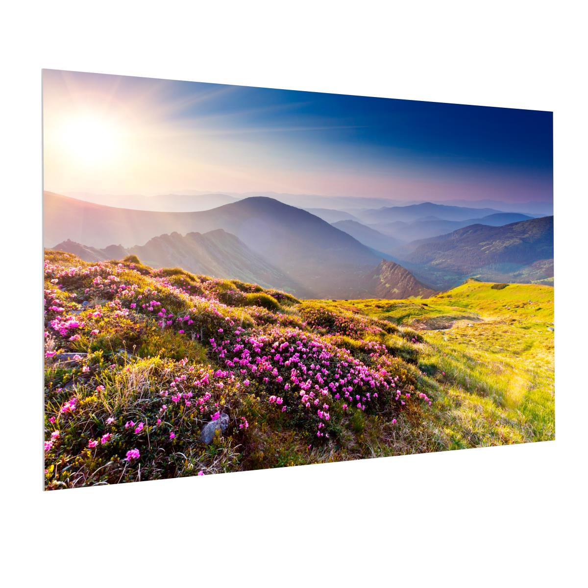 Projecta Fullvision 338x600 Hd Progressi (10600710)