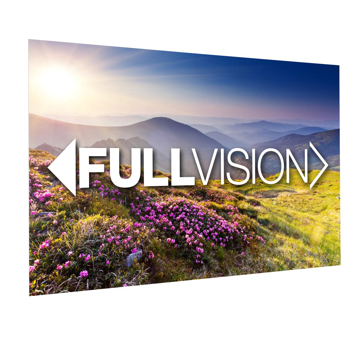 Projecta Fullvision 124x220 Hd Progressi (10600712)