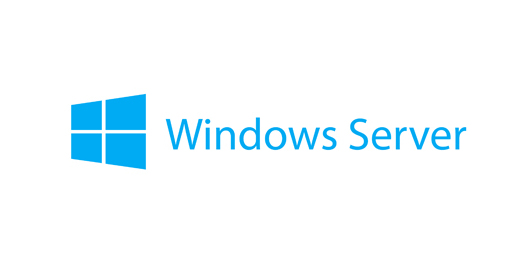 Windows Server 2019 CAL - New License - 50 Device