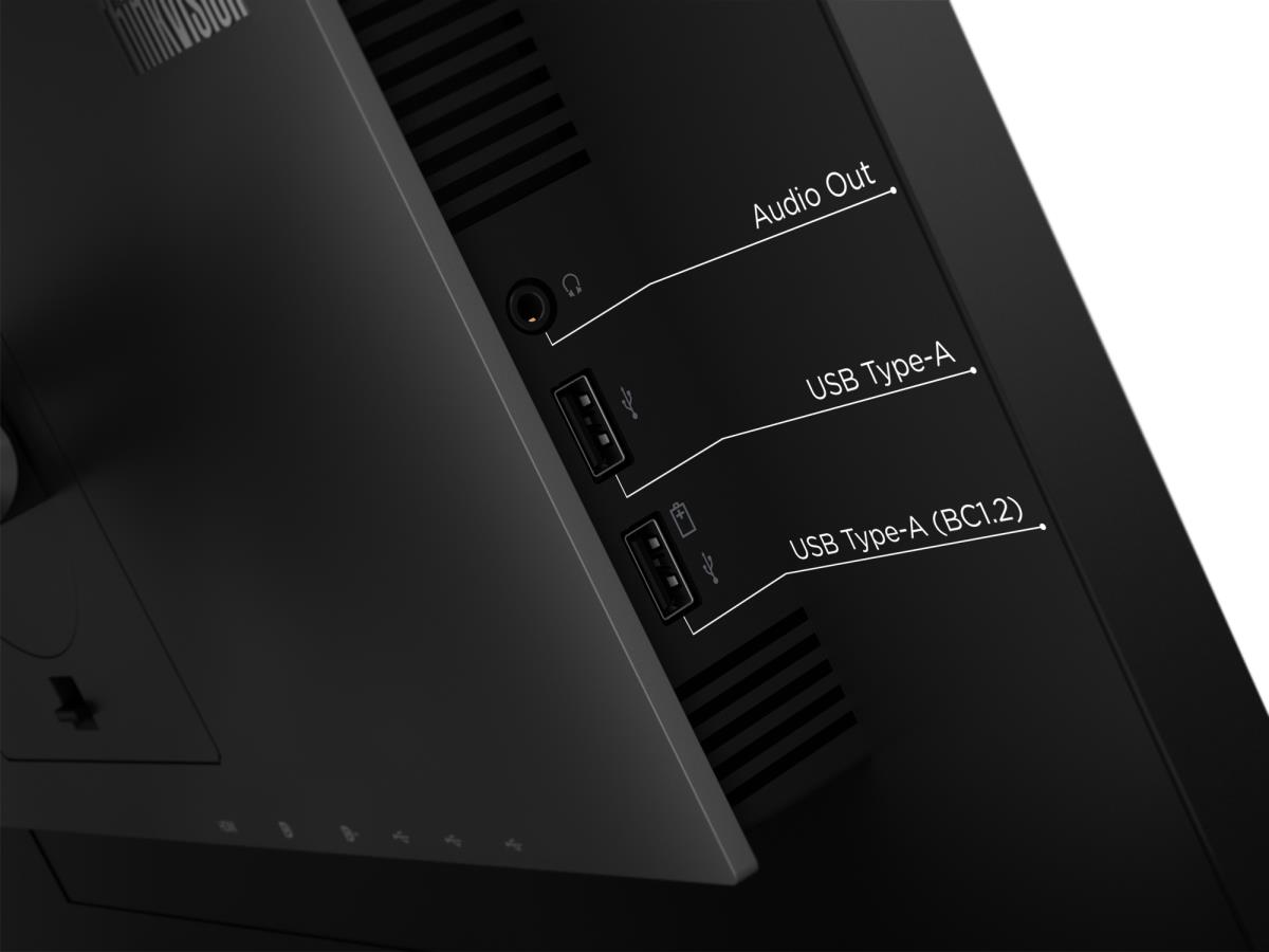 Desktop Monitor - ThinkVision P24q-20 - 24in - 2560x1440 (WQHD) - Raven Black - IPS