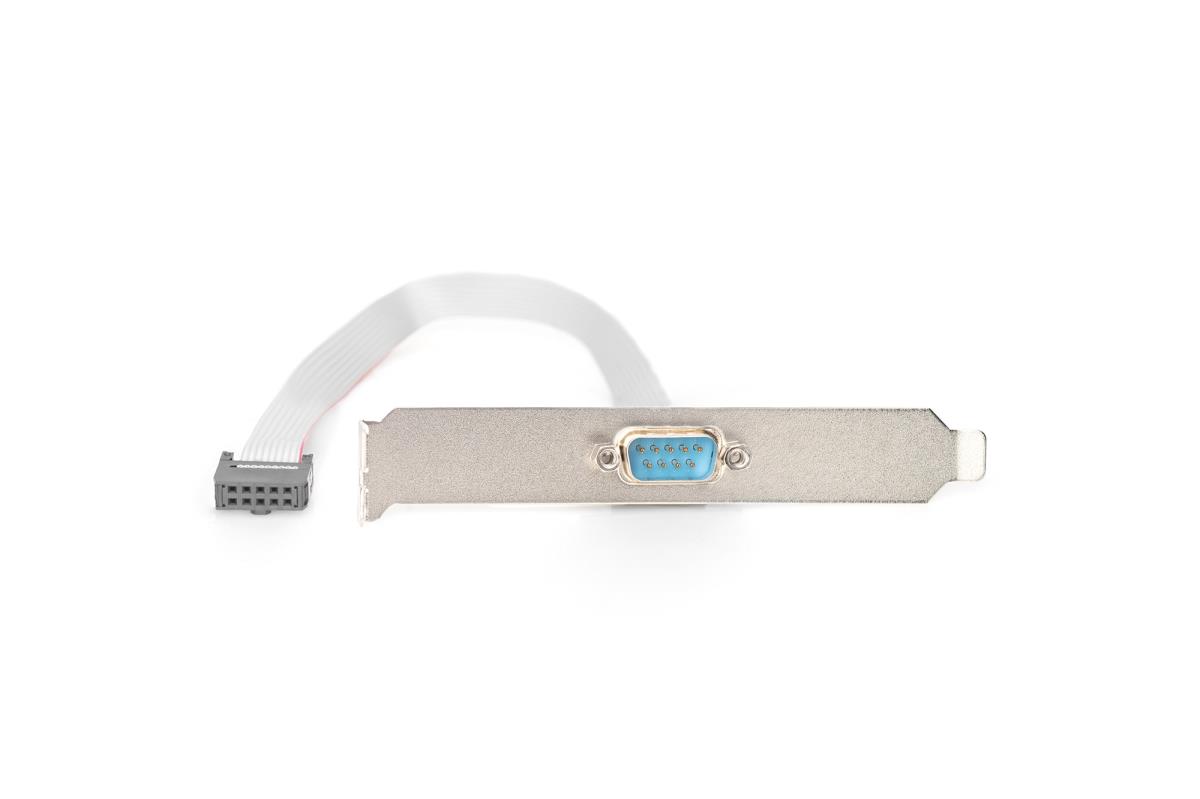 SerialSlot Bracket cable 0.25m serial DTK 2x5pin (AK-610300-003-E)