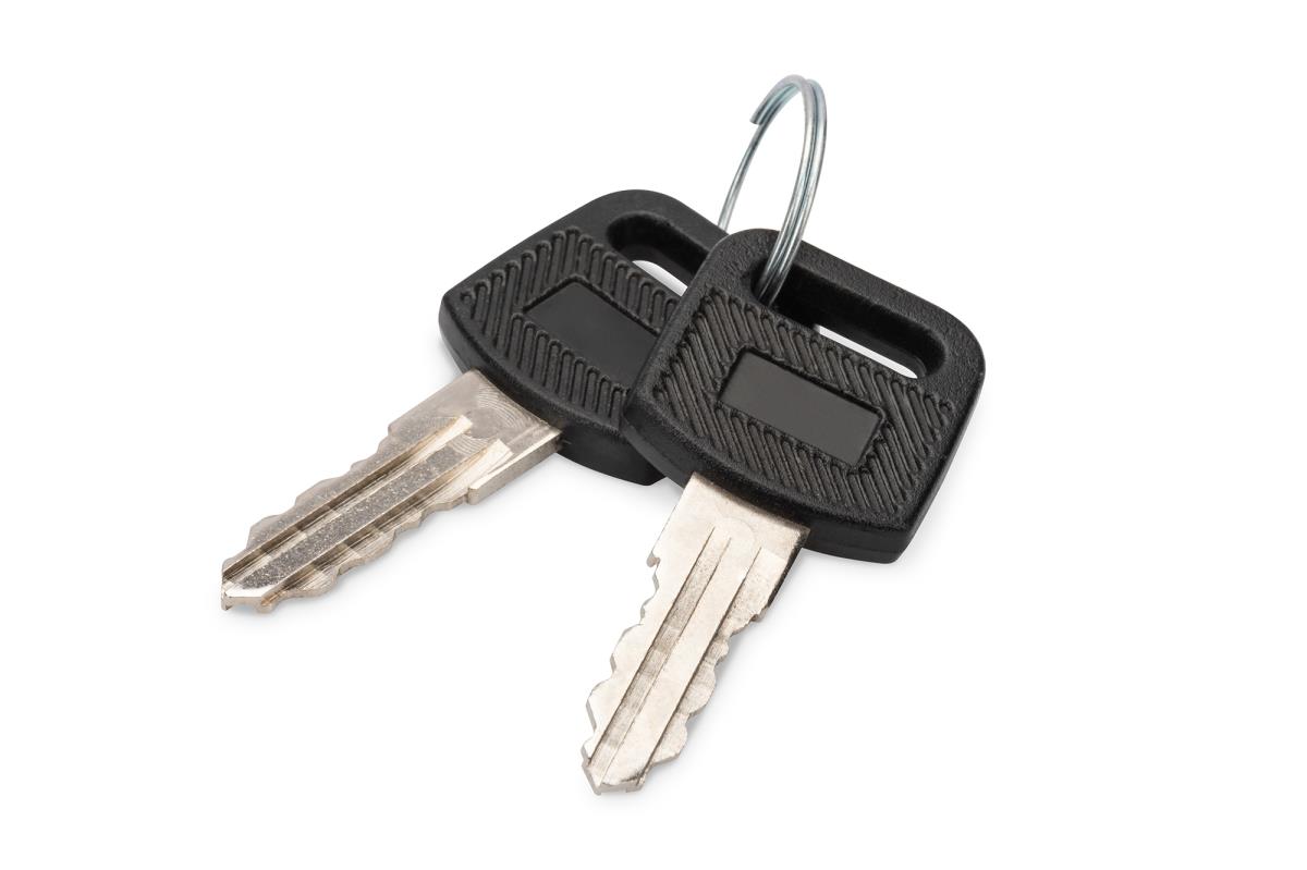 Key for WM 10IN WM 19IN Unique/SOHO 2 pieces