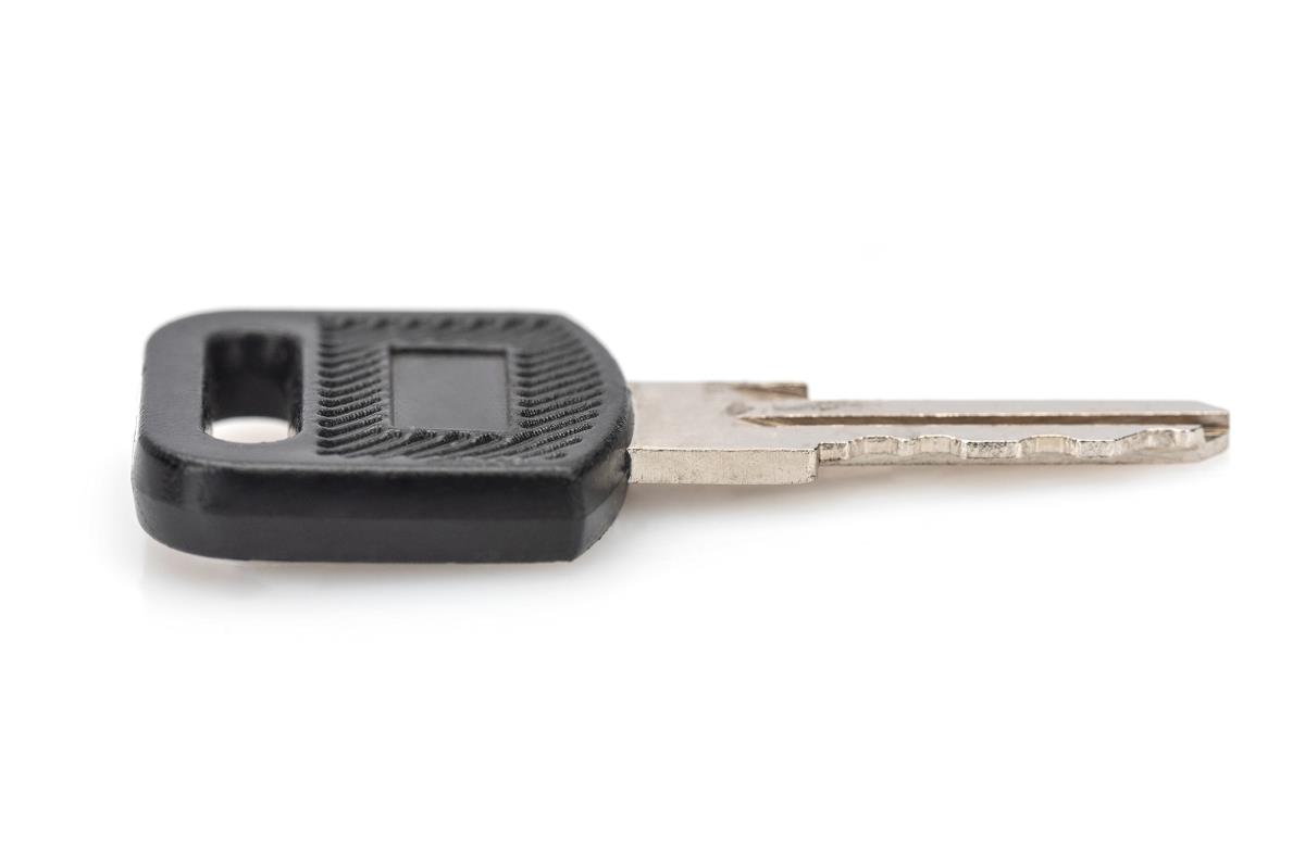 Key for WM 10IN WM 19IN Unique/SOHO 2 pieces
