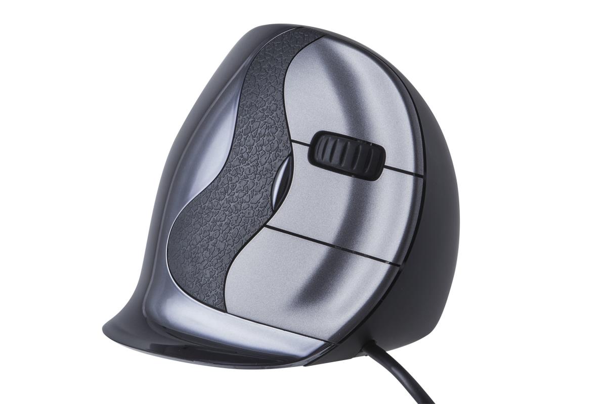 D Large Mouse