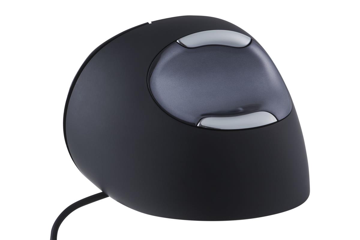 D Large Mouse