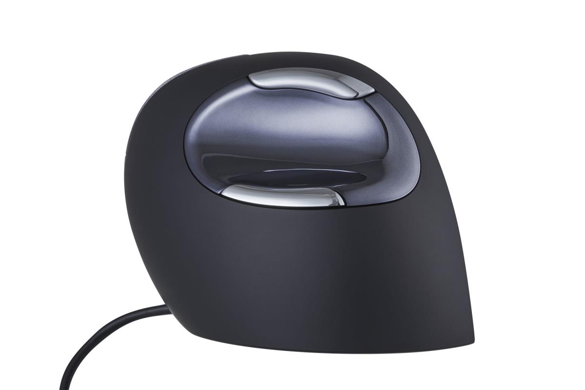 D Large Mouse