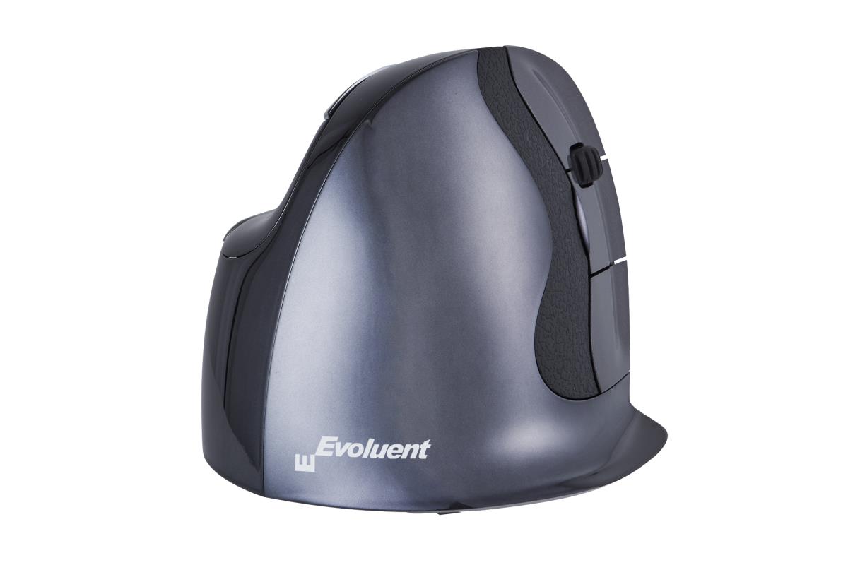 Wireless D Mouse - Small