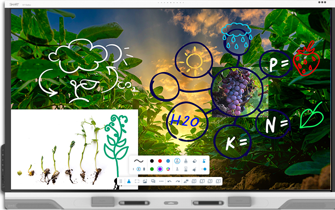 SMART Board RX275-5A series interactive display
