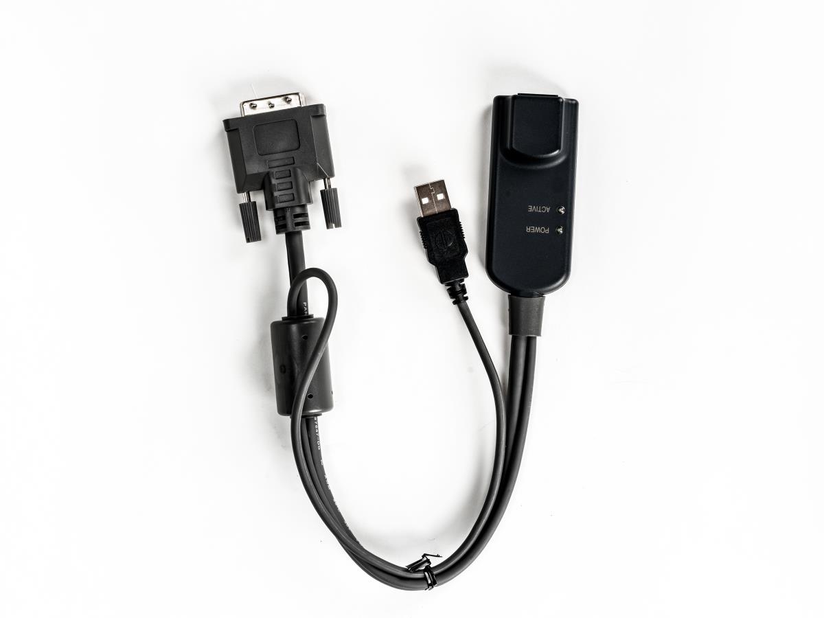 Server Interface Module for DVI Video