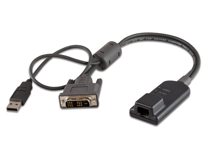 Server Interface Module for DVI Video