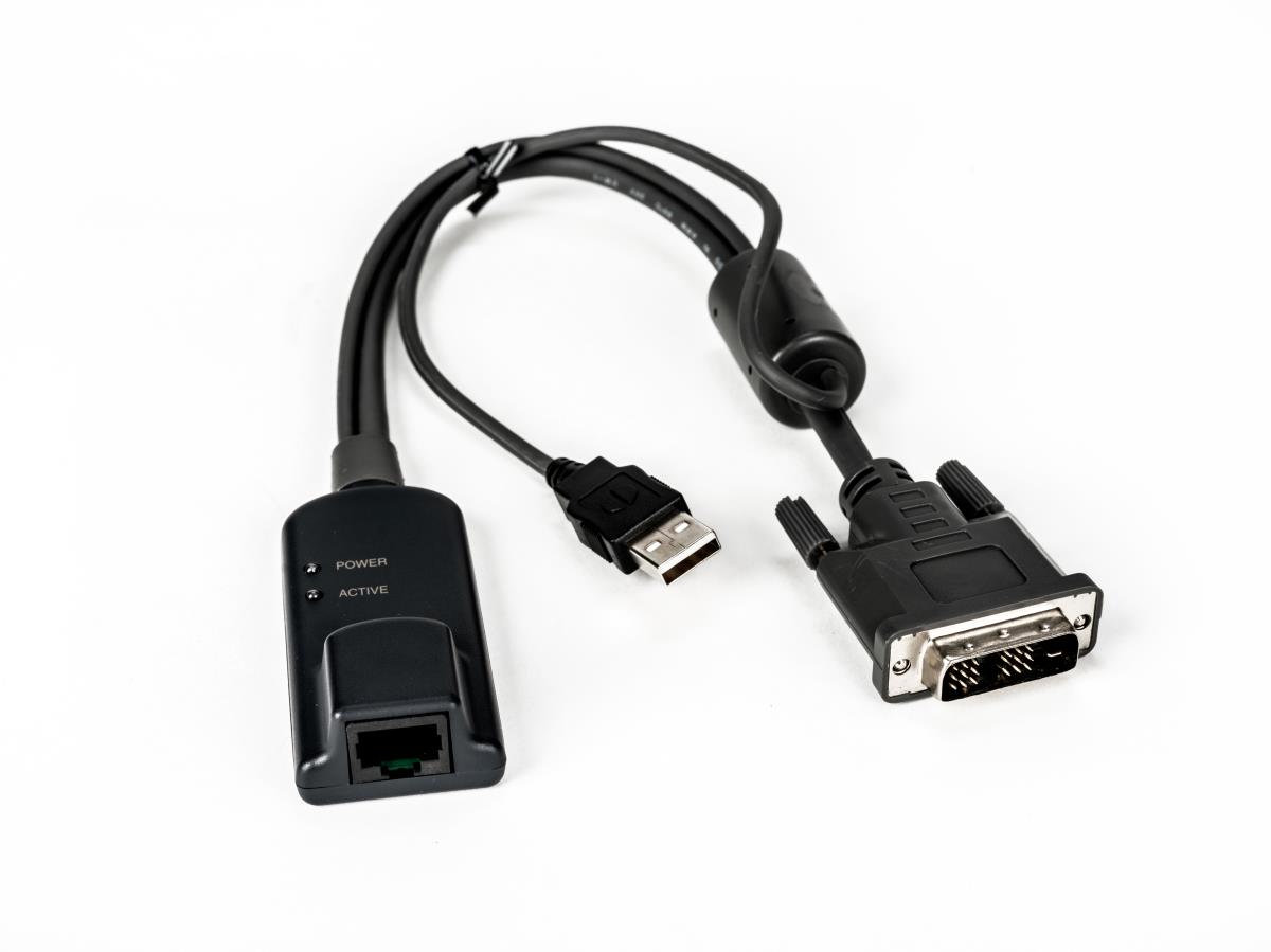 Server Interface Module for DVI Video
