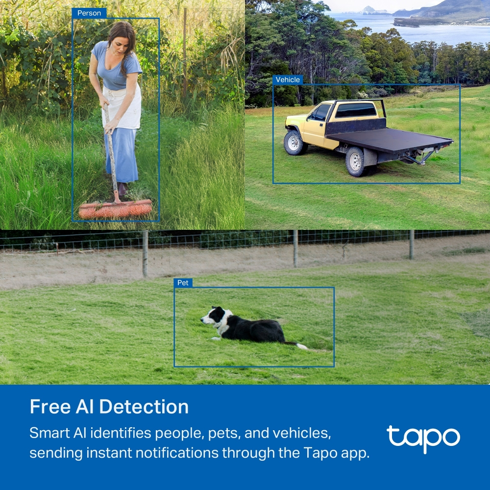 Camera Pan Tilt Home Tapo C501gw