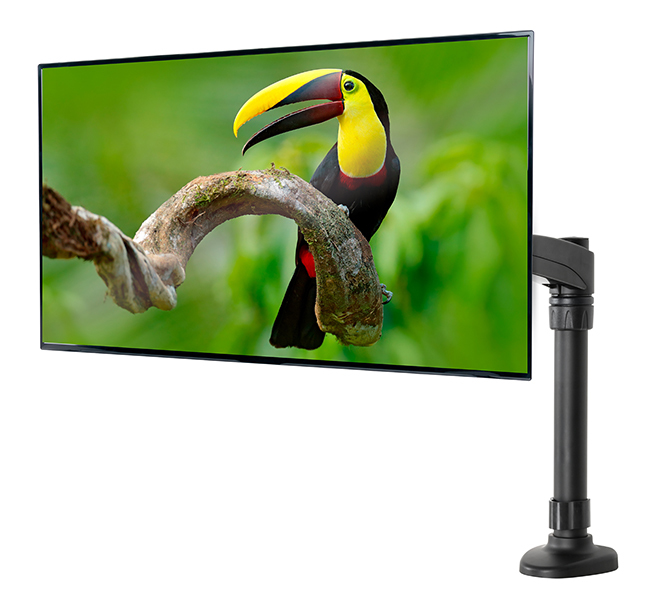 LCD Desk Mount W/double Arm Black