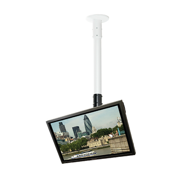 Flat Screen Ceiling/desk Mount With Ti (bt7553-100/bw)