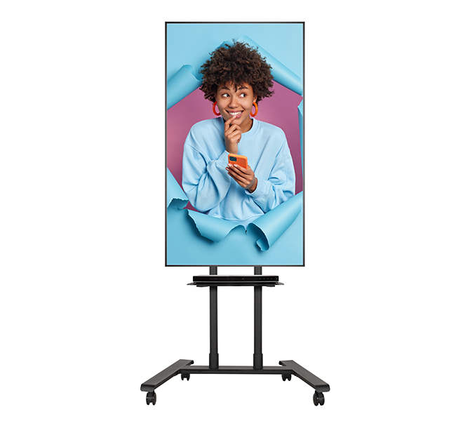Large Universal Flat Screen Trolley / Floor Stand (vesa 600 X 400) - 1.6m 50mm Poles