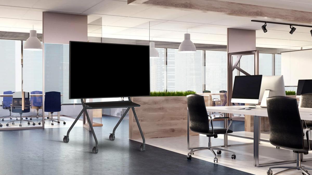 Flat Panel Easel Trolley 100kg